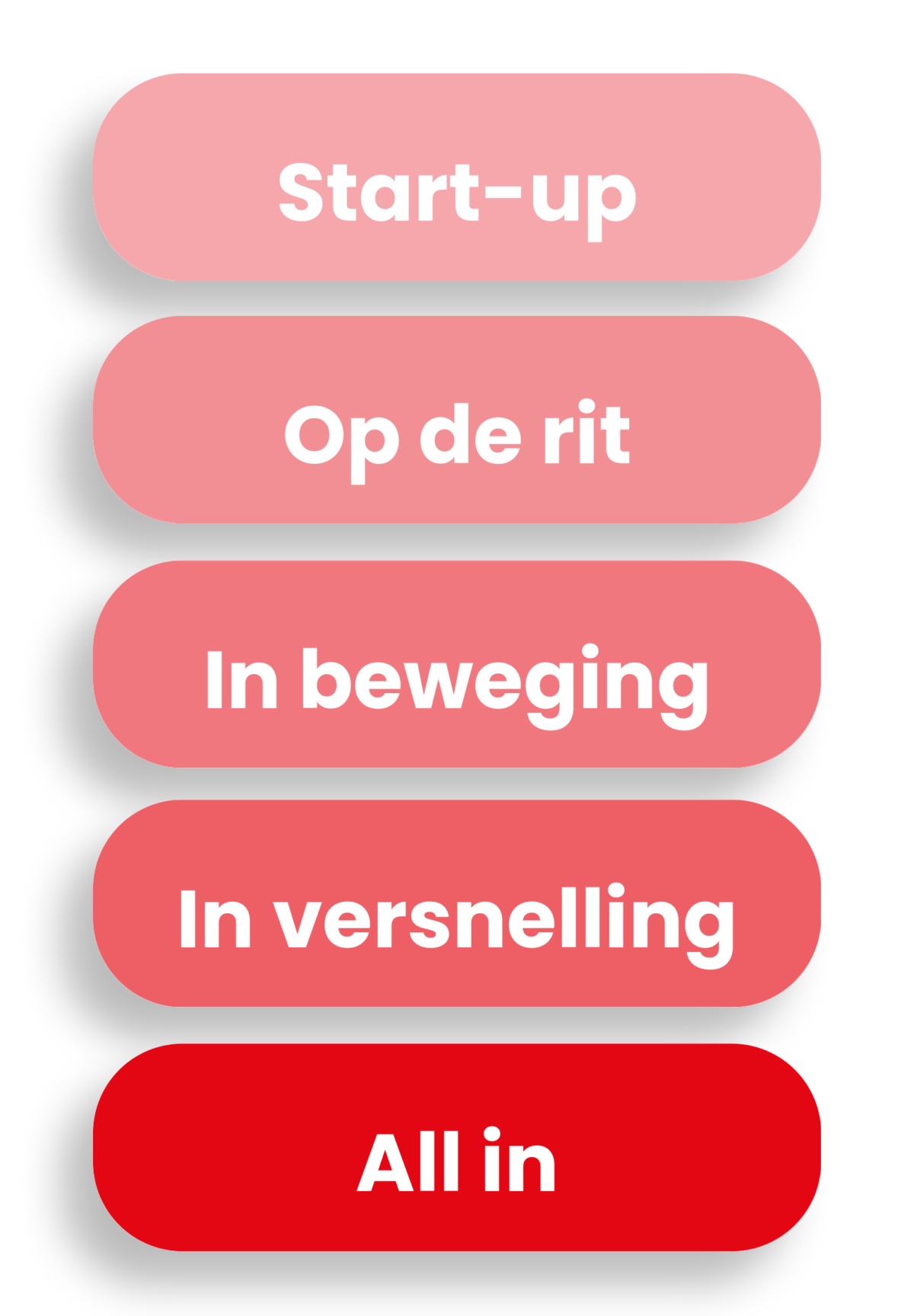 Vijf fases van bedrijfsgroei in roze tinten: van start-up tot all-in